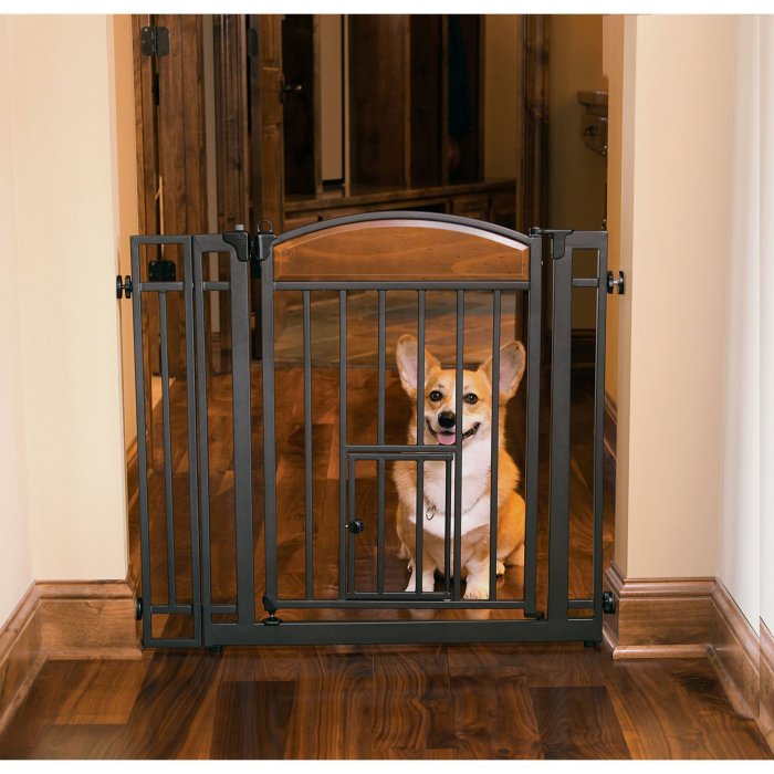 Carlson pet products design studio home decor walk through