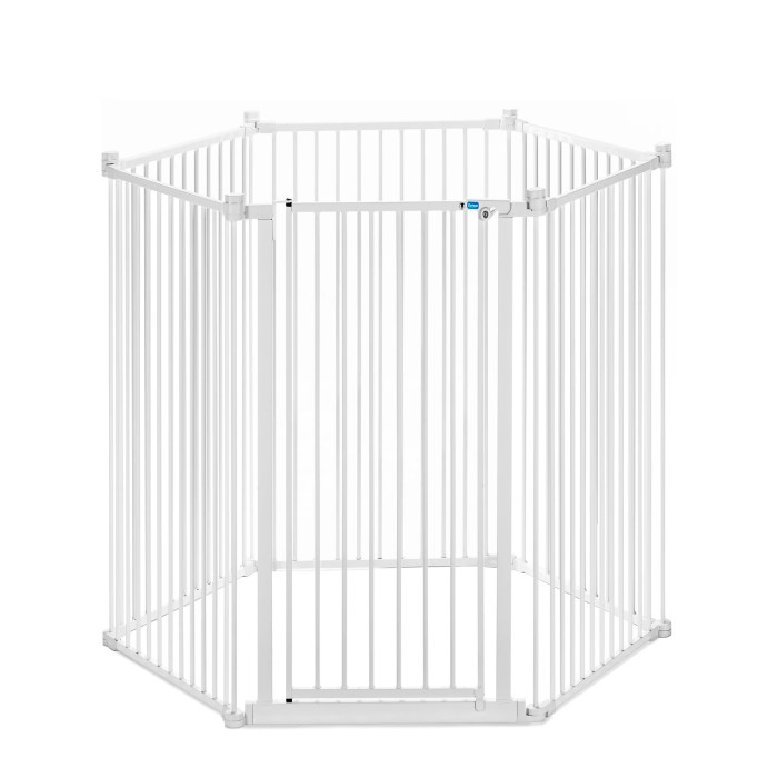 Carlson pet products design studio home decor walk through
