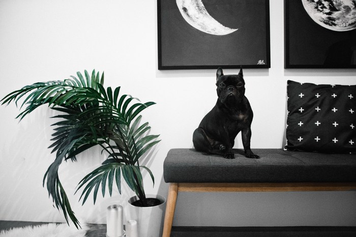 The Hygge Home | 10 Danish Decor Finds... on Amazon!