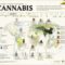 Cannabis design clothes and home decor