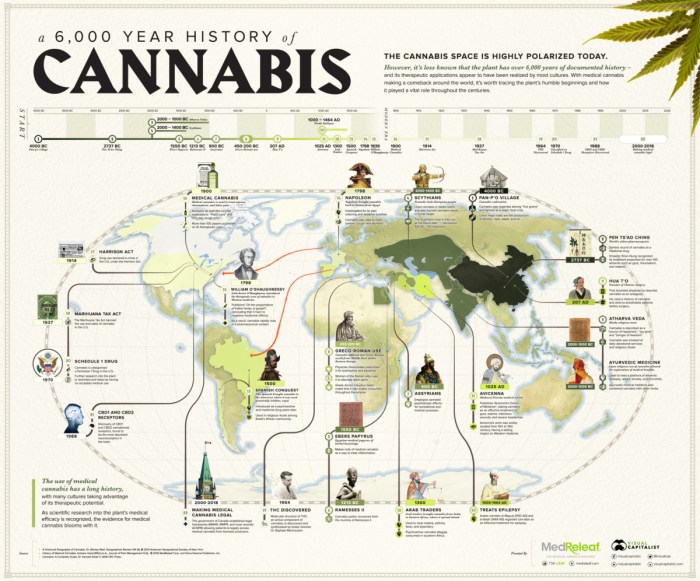Cannabis design clothes and home decor