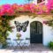 Butterfly graphic design home decor
